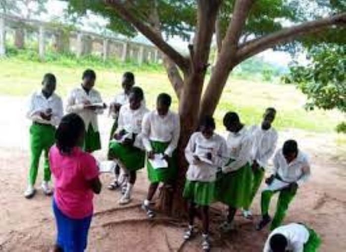 Despite N34.7 billion approval for education, Nasarawa GSS Kube Students learn under Tree