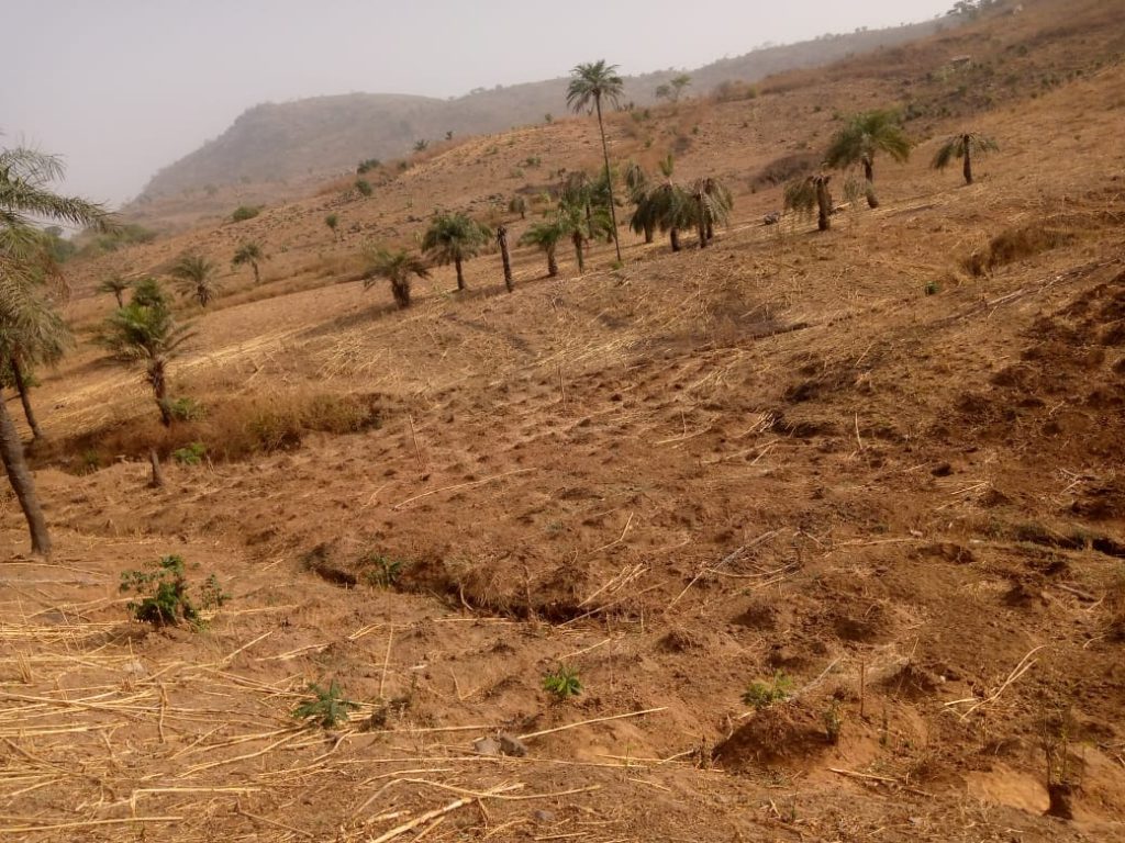 Climate Change affecting Us – FCT Farmers