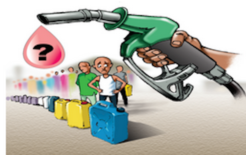 Fuel Subsidy Energy Security Nigeria can’t do without