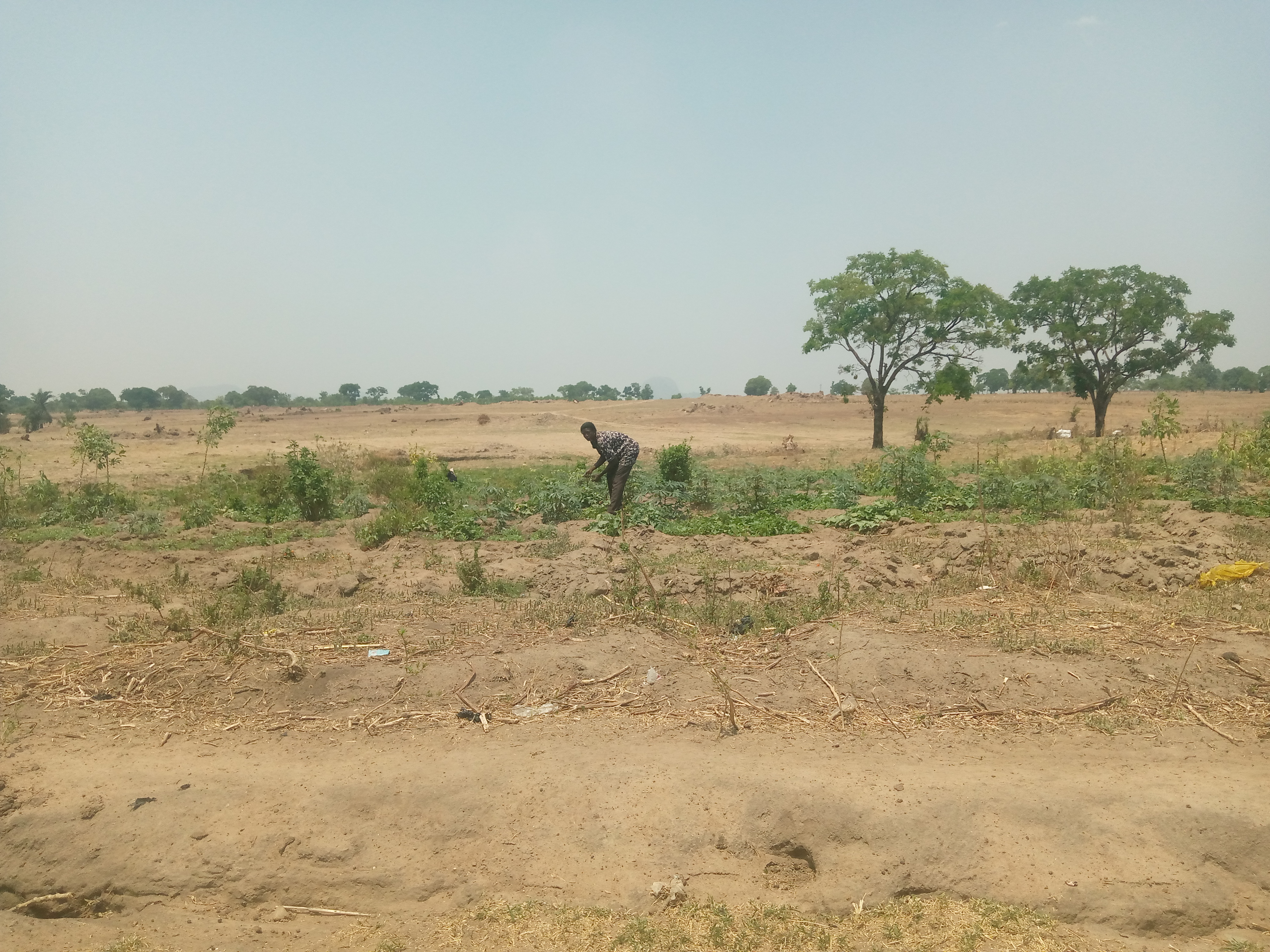 Climate Change Impacts FCT women farmers, widens inequality